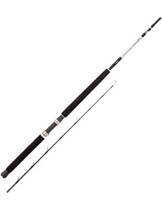 Shimano Speedmaster AX Boat Slim 20-30Lbs